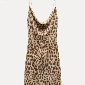 NWOT Zara Printed Tulle Dress